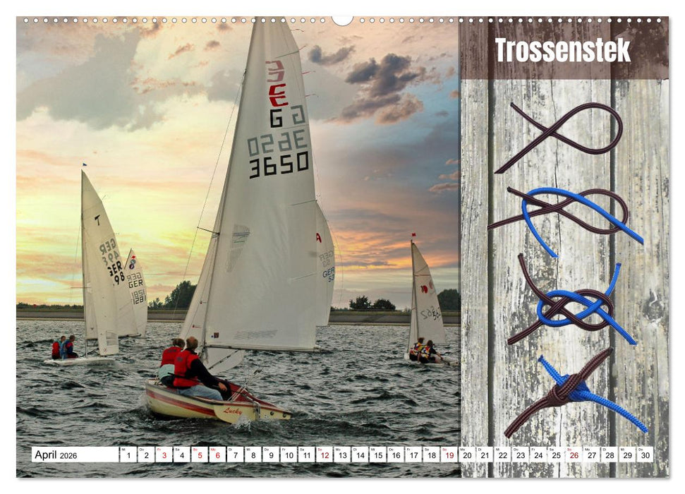 Schnittige Jollen - wichtige Knoten (CALVENDO Premium Wandkalender 2026)