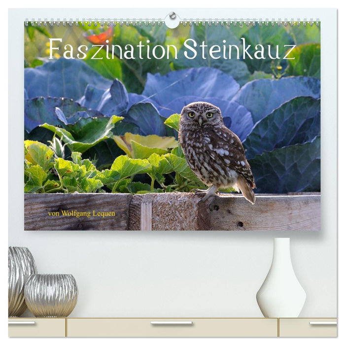 Faszination Steinkauz (CALVENDO Premium Wandkalender 2026)