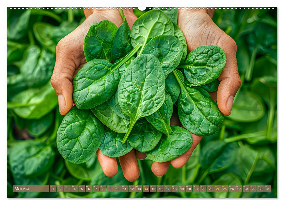 Mein Gemüsegarten - Ein Jahr knackig frisches Gemüse (CALVENDO Premium Wandkalender 2026)