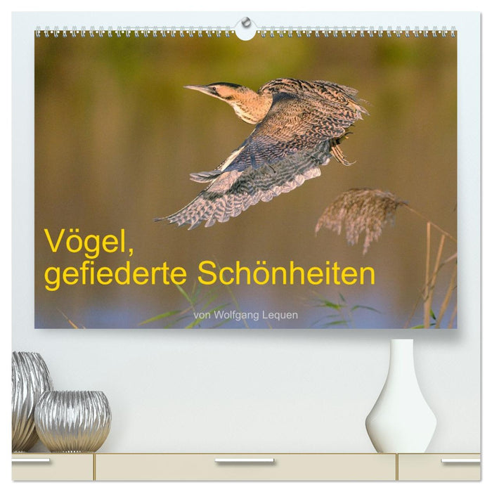 Vögel, Gefiederte Schönheiten (CALVENDO Premium Wandkalender 2026)