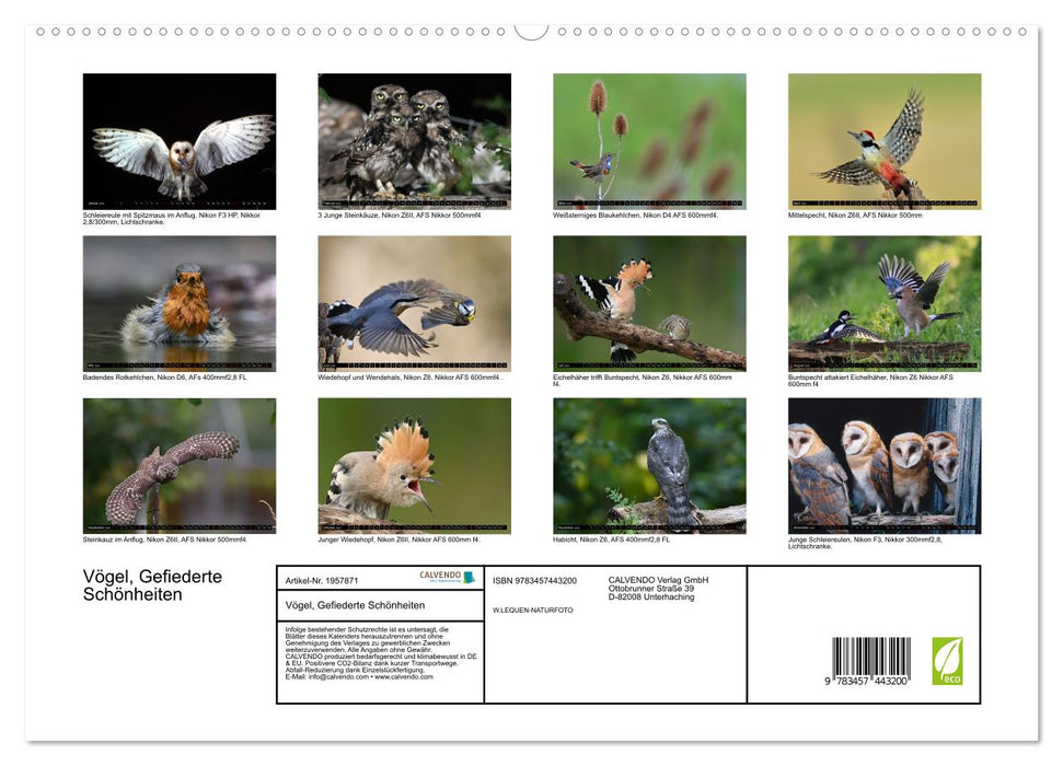 Vögel, Gefiederte Schönheiten (CALVENDO Premium Wandkalender 2026)