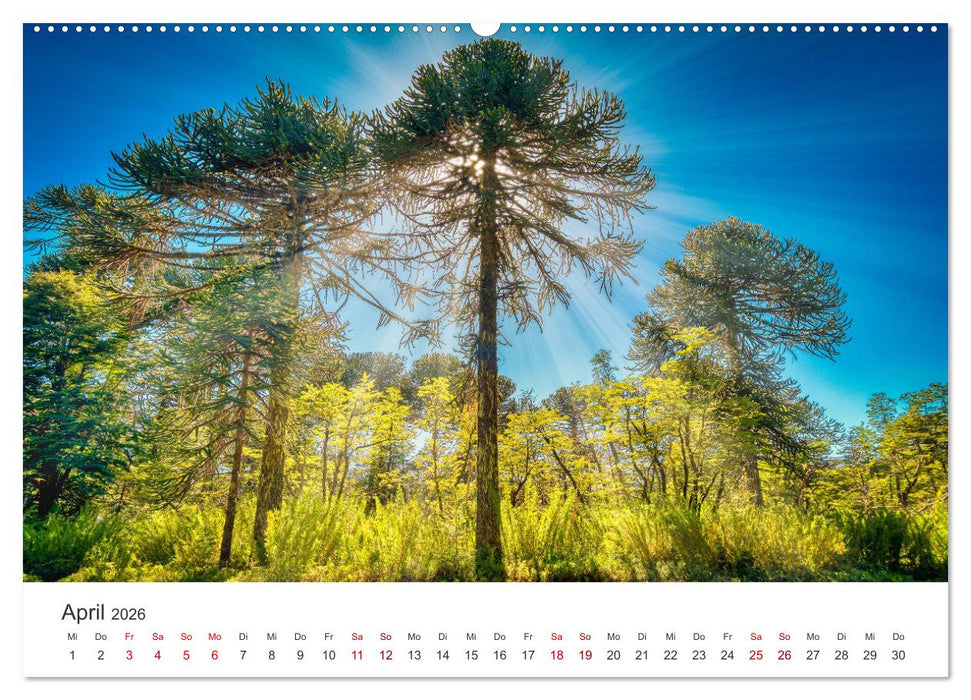Chile - Das langgestreckte Land. (CALVENDO Premium Wandkalender 2026)