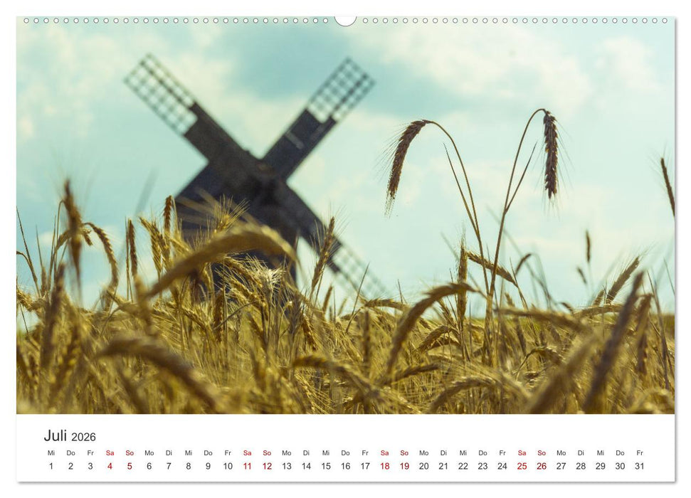 Estland - Ein unterschätztes Reiseziel. (CALVENDO Premium Wandkalender 2026)