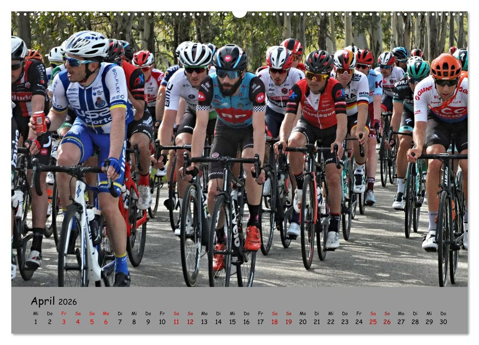 Liebe zum Fahrrad (CALVENDO Premium Wandkalender 2026)