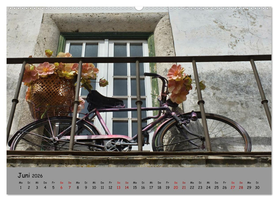 Liebe zum Fahrrad (CALVENDO Premium Wandkalender 2026)