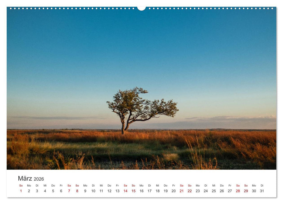 Madagaskar - Eine traumhafte Insel. (CALVENDO Premium Wandkalender 2026)