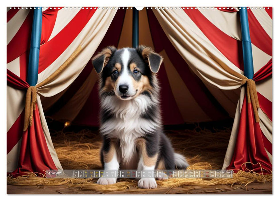 Kuschelige Hunde - kleine Herzensbrecher in Aktion (CALVENDO Premium Wandkalender 2026)
