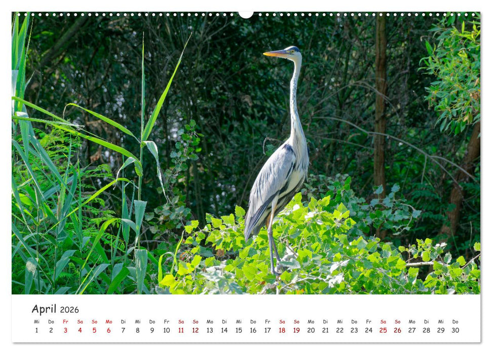 Donau-Delta (CALVENDO Wandkalender 2026)