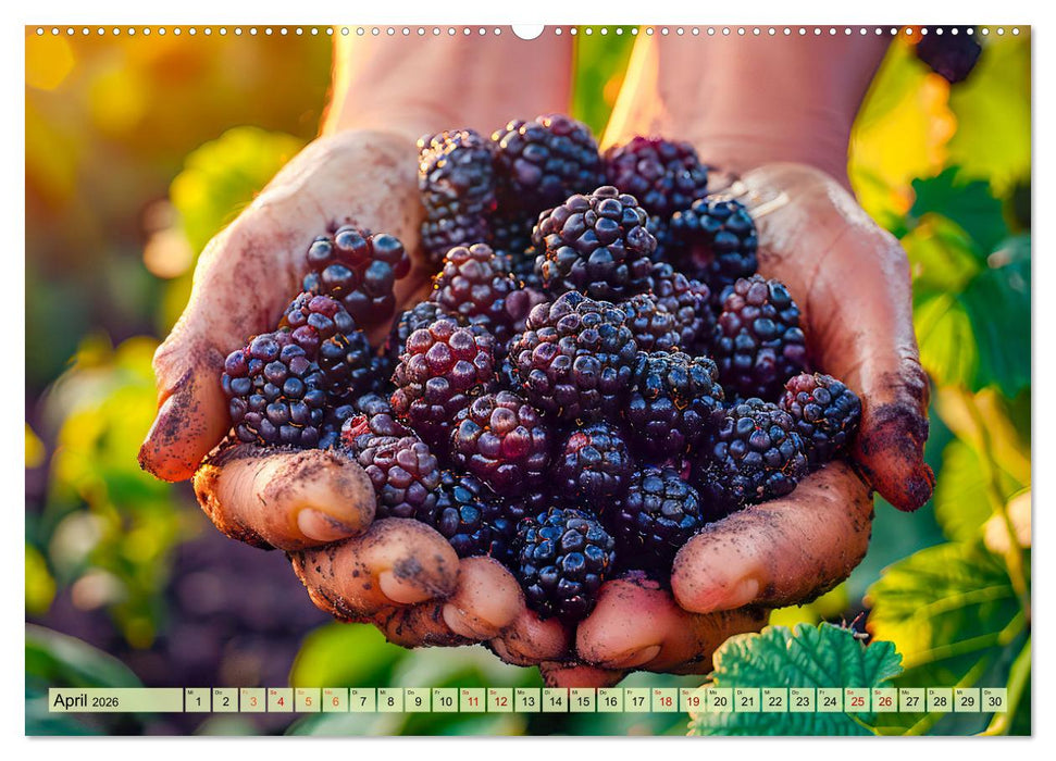 Ernteglück - Eine handvoll süßer Früchte zum Anbeißen (CALVENDO Premium Wandkalender 2026)
