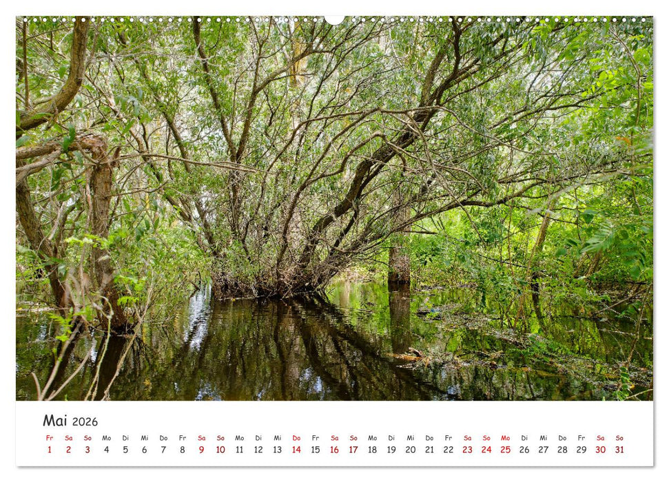 Donau-Delta (CALVENDO Premium Wandkalender 2026)