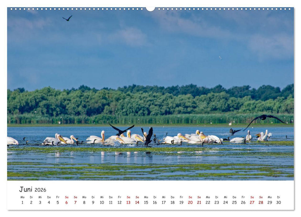 Donau-Delta (CALVENDO Premium Wandkalender 2026)