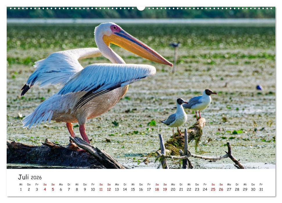Donau-Delta (CALVENDO Premium Wandkalender 2026)