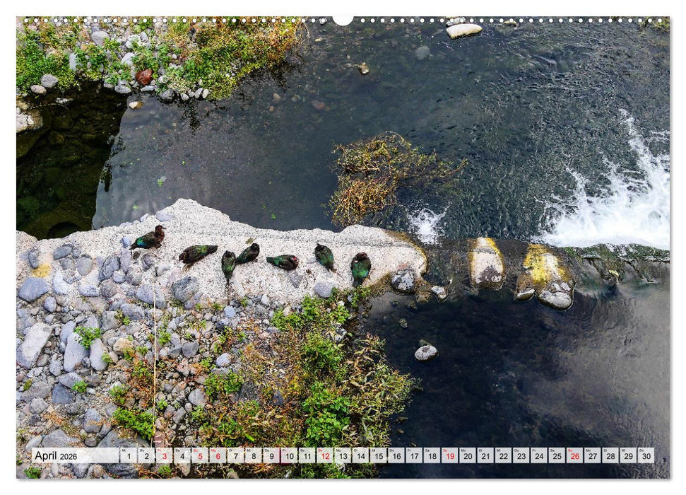 Ein Tag auf Madeira (CALVENDO Premium Wandkalender 2026)