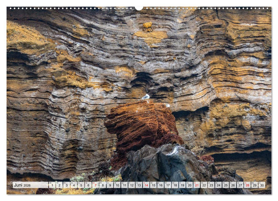 Ein Tag auf Madeira (CALVENDO Premium Wandkalender 2026)