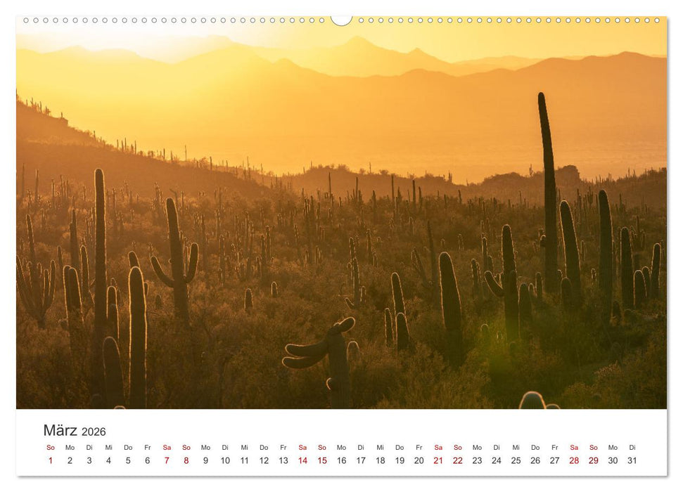 Arizona - Grand Canyon State (CALVENDO Premium Wandkalender 2026)