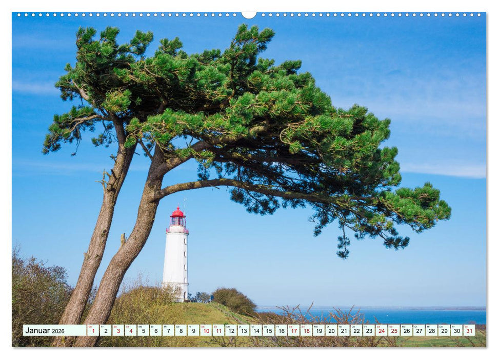 Sehnsuchtsland Mecklenburg-Vorpommern (CALVENDO Premium Wandkalender 2026)