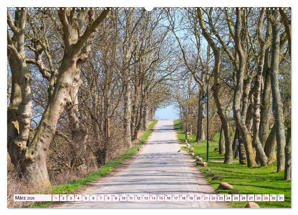 Sehnsuchtsland Mecklenburg-Vorpommern (CALVENDO Premium Wandkalender 2026)