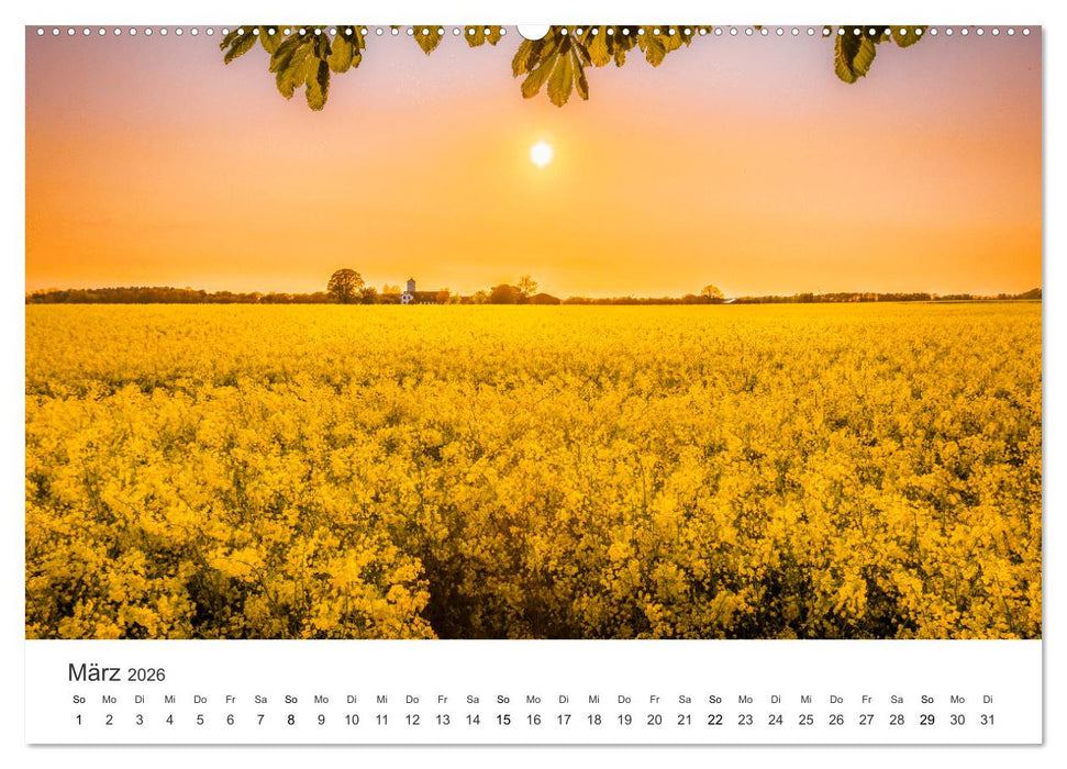 Lichtmomente - Fotografien, die in einem besonderen Licht erstrahlen. (CALVENDO Premium Wandkalender 2026)