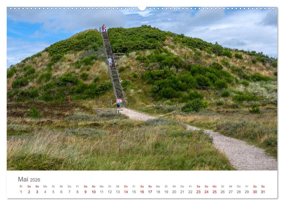 Dänemark - Henne Strand (CALVENDO Premium Wandkalender 2026)