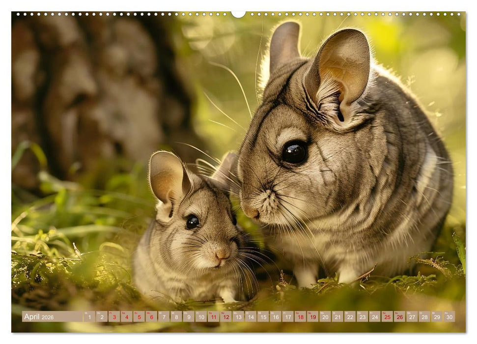 Tierkinder des Südens (CALVENDO Premium Wandkalender 2026)