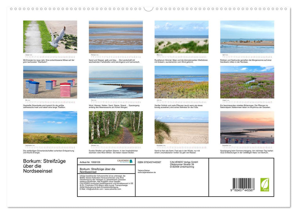 Borkum: Streifzüge über die Nordseeinsel (CALVENDO Premium Wandkalender 2026)