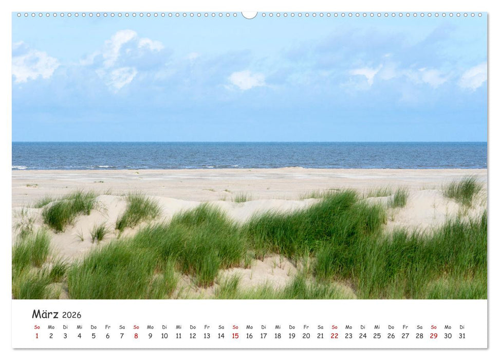 Borkum: Streifzüge über die Nordseeinsel (CALVENDO Premium Wandkalender 2026)