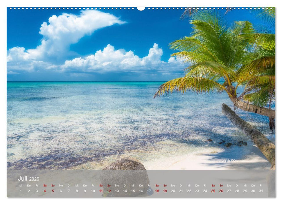 Karibik Traum Isla Saona (CALVENDO Premium Wandkalender 2026)