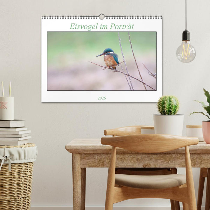 Eisvogel im Porträt (CALVENDO Wandkalender 2026)