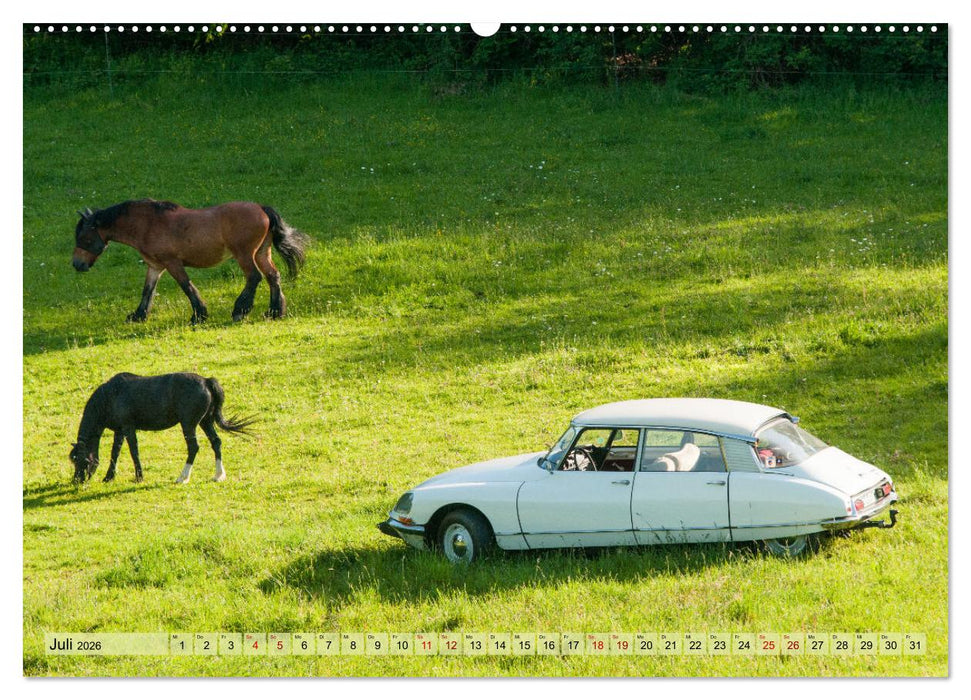 Französische Klassiker - 2CV und D Modell Oldtimer (CALVENDO Premium Wandkalender 2026)