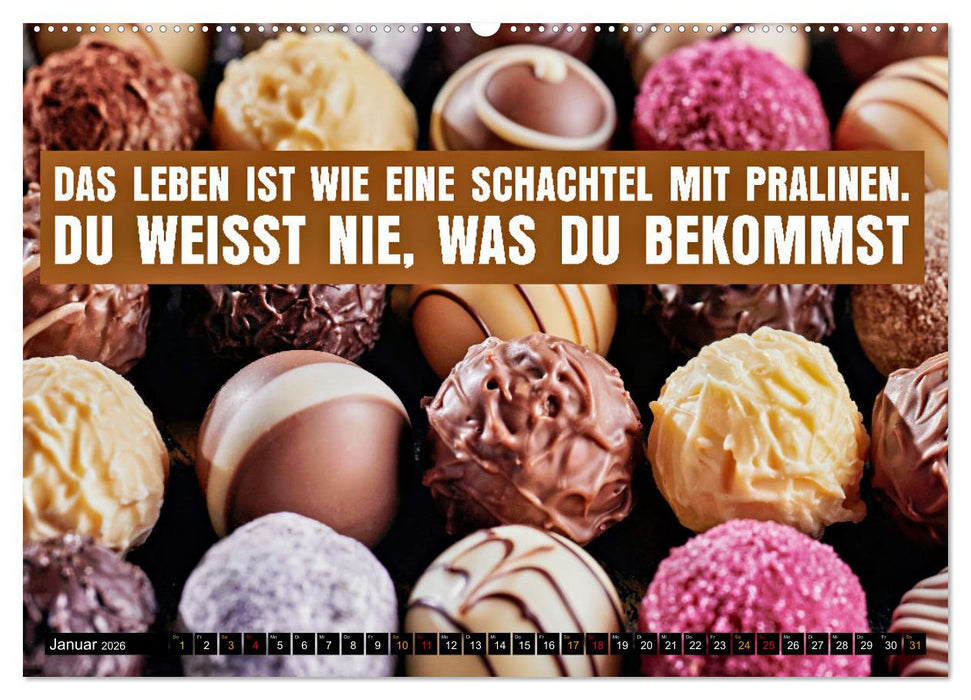 Schokolade - die süße Verführung - coole Sprüche (CALVENDO Premium Wandkalender 2026)