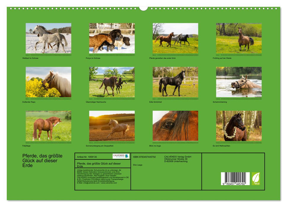 Pferde, das größte Glück auf dieser Erde (CALVENDO Premium Wandkalender 2026)