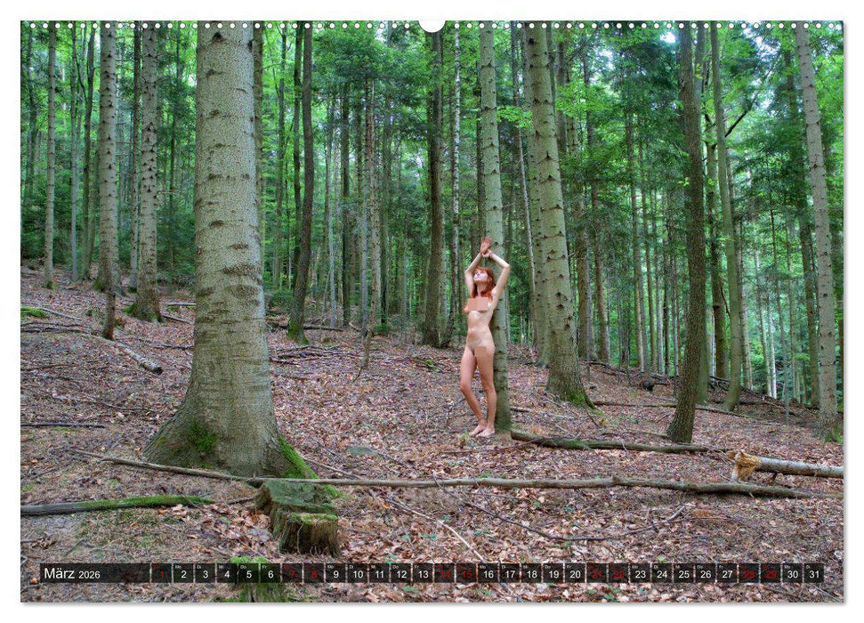 Wald Akte (CALVENDO Premium Wandkalender 2026)