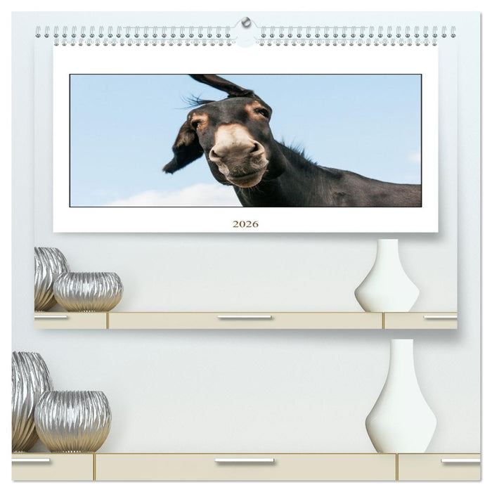 Esel Lebensfreude - Spaß mit Langohren (CALVENDO Premium Wandkalender 2026)