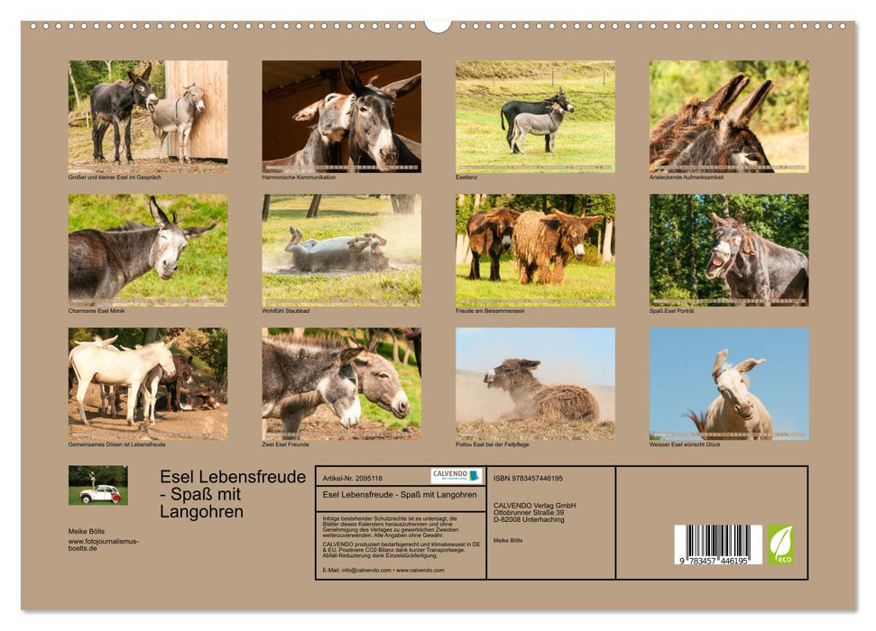 Esel Lebensfreude - Spaß mit Langohren (CALVENDO Premium Wandkalender 2026)