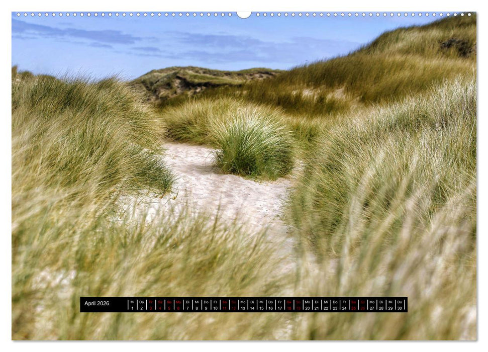 Sylt - Wasser, Wind und Wellen (CALVENDO Wandkalender 2026)