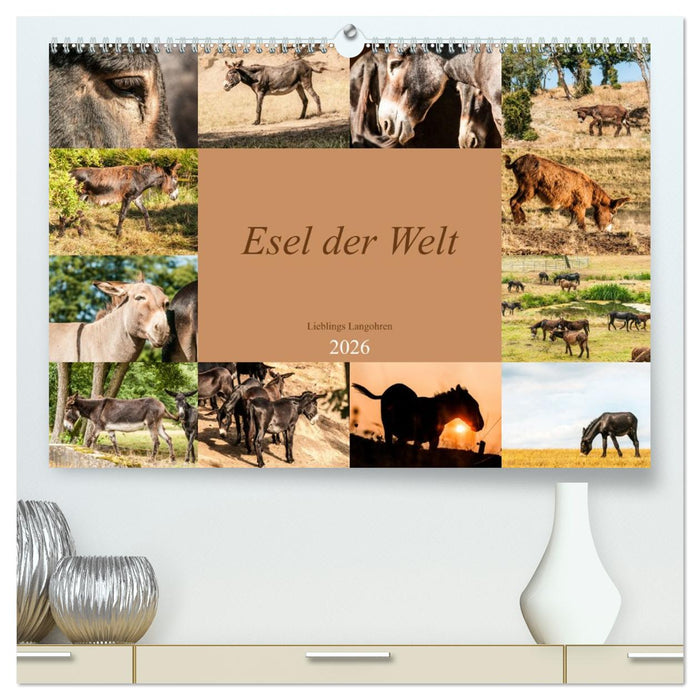 Esel der Welt - Lieblings Langohren (CALVENDO Premium Wandkalender 2026)