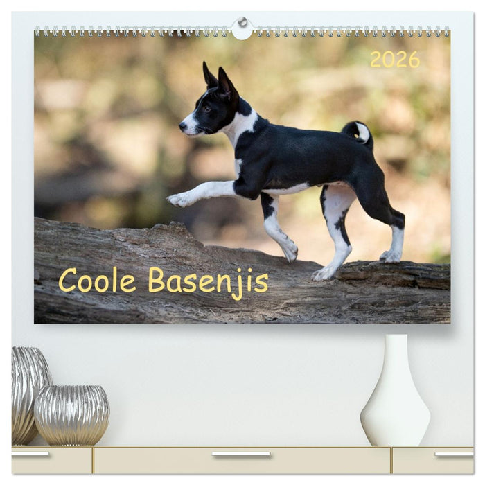 Coole Basenjis (CALVENDO Premium Wandkalender 2026)