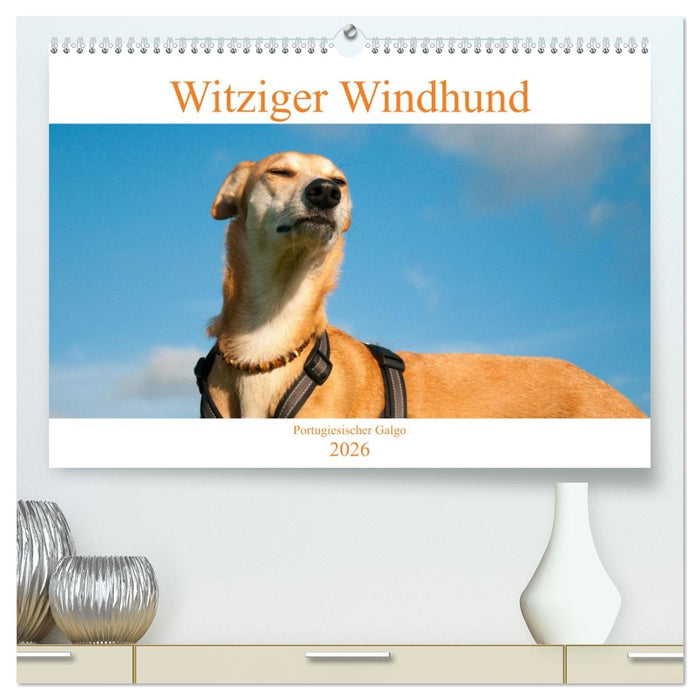 Witziger Windhund - Portugiesischer Galgo (CALVENDO Premium Wandkalender 2026)