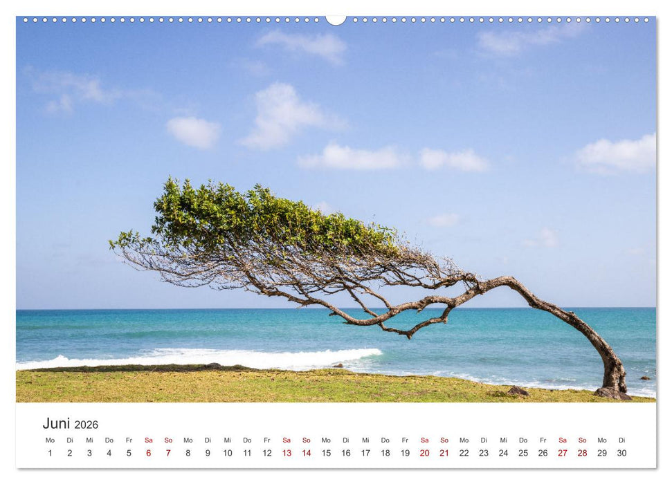 Guadeloupe, Trauminsel der Französische Antillen (CALVENDO Premium Wandkalender 2026)