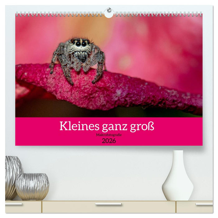 Kleines ganz groß - Makrofotografie (CALVENDO Premium Wandkalender 2026)
