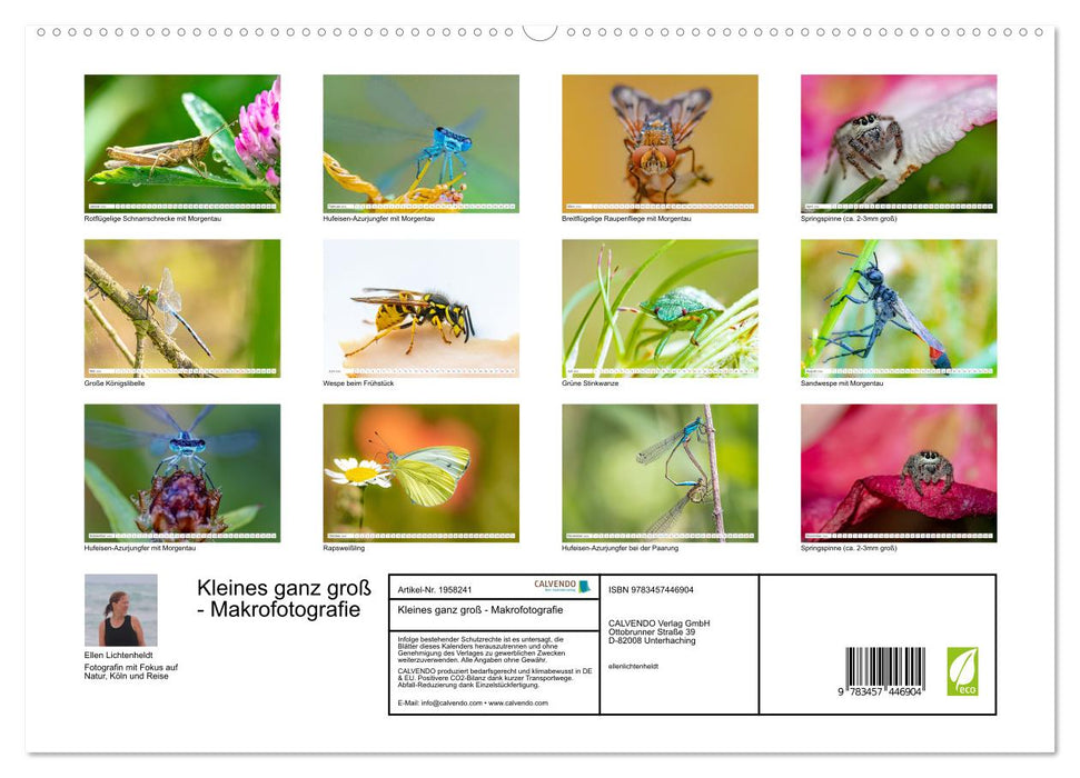 Kleines ganz groß - Makrofotografie (CALVENDO Premium Wandkalender 2026)
