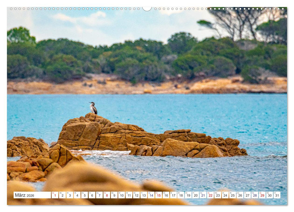 Italien von Süd bis Nord (CALVENDO Premium Wandkalender 2026)