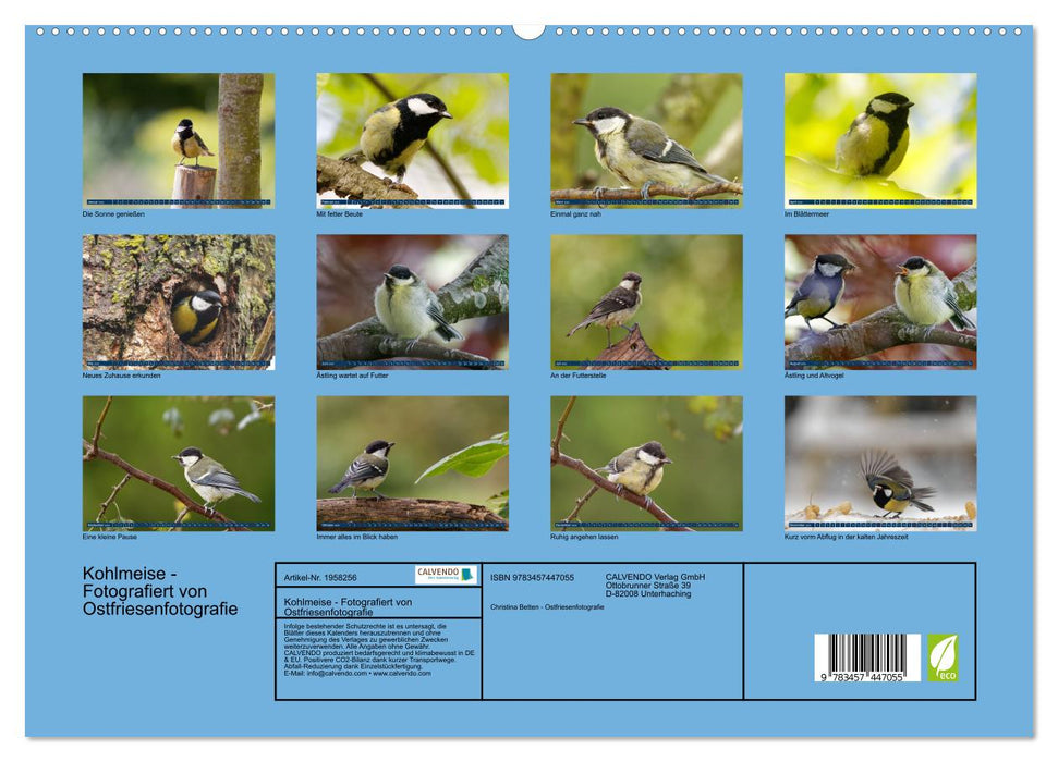 Kohlmeise - Fotografiert von Ostfriesenfotografie (CALVENDO Premium Wandkalender 2026)