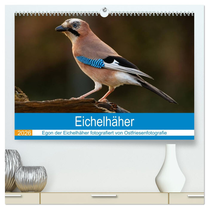 Eichelhäher - Egon der Eichelhäher fotografiert von Ostfriesenfotografie (CALVENDO Premium Wandkalender 2026)
