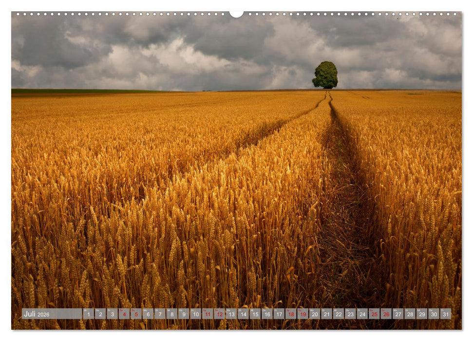 Wunderschöne schwäbische Alb (CALVENDO Premium Wandkalender 2026)