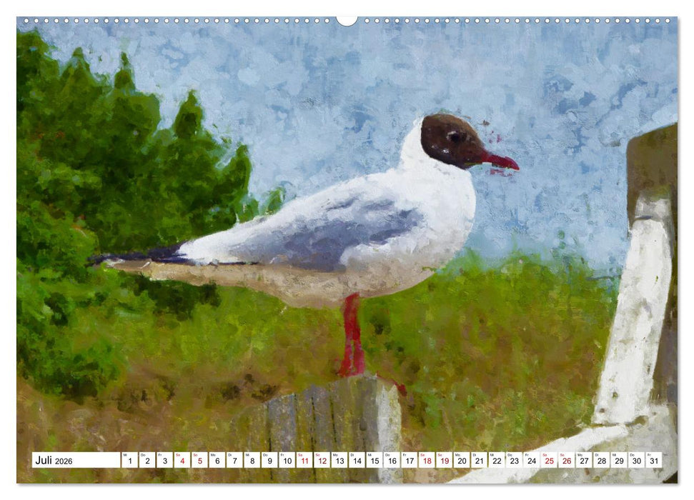 Malerische Insel Usedom - Acryl Impressionen (CALVENDO Premium Wandkalender 2026)