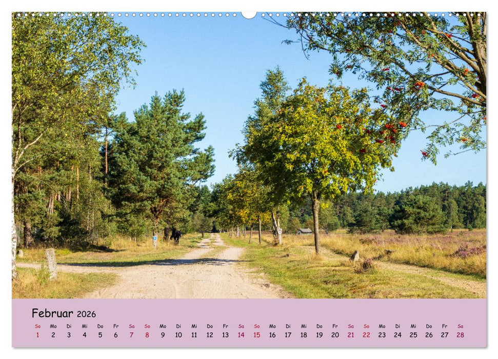 Lüneburger Heide Wege (CALVENDO Premium Wandkalender 2026)