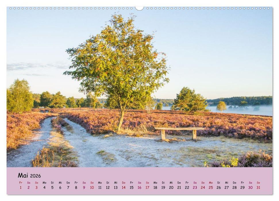 Lüneburger Heide Wege (CALVENDO Premium Wandkalender 2026)