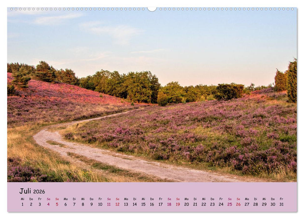Lüneburger Heide Wege (CALVENDO Premium Wandkalender 2026)