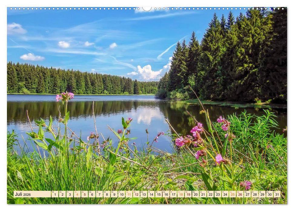Harz - Urlaub (CALVENDO Premium Wandkalender 2026)
